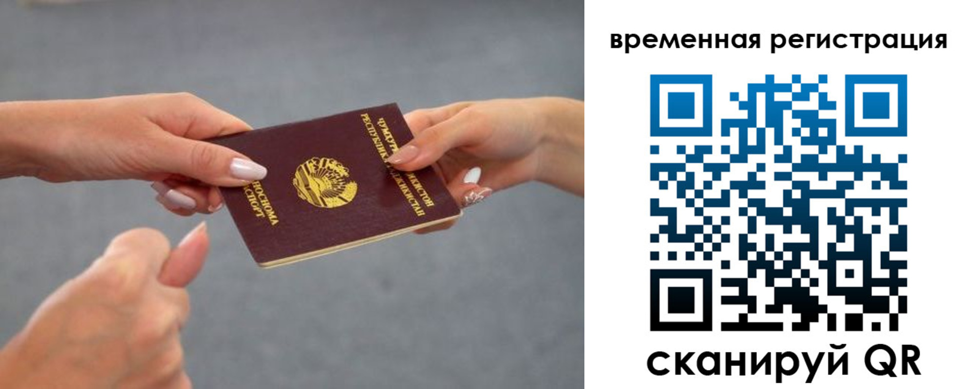 прописка гарантия в Новочеркасске